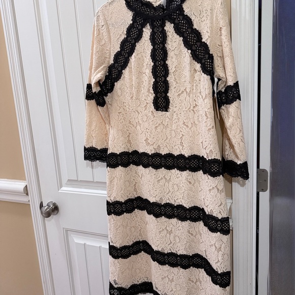 Dainty Jewells Dresses & Skirts - Dainty Jewells Cream Lace Dress with Black Details